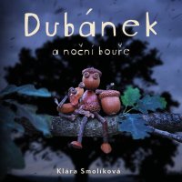 Dubánek a noční bouře (Smolíková - Zadražil Jan)