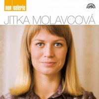 Molavcová Jitka: Pop galerie