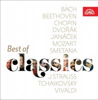 Various: Best Of Classics