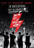 5 Seconds Of Summer: How did we end up here?