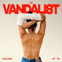 Erez Noga: Vandalist