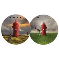 Rush: Signals (Picture Disc Vinyl)