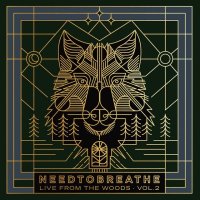 Needtobreathe: Live From The Woods Vol.2