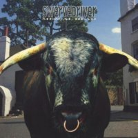 Swervedriver: Mezcal Head