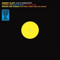 Plant Robert: Live At Knebworth