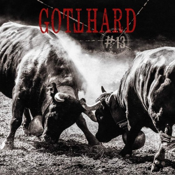 Gotthard: 13