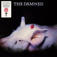 Damned: Strawberries (RSD2022)