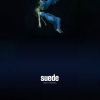 Suede: Night Thoughts