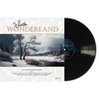 Various: Winter Wonderland