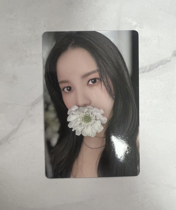 Solar (MAMAMOO): Colours: Photocard