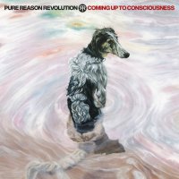 Pure Reason Revolution: Coming Up To Consciousness (Coloured Vinyl)