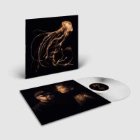 Royal Blood: Back to the Water Below (Indie Exclusive Limited Clear Vinyl)