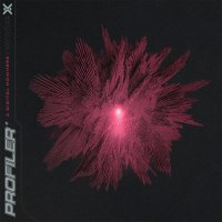 Profiler: Digital Nowhere (Coloured Red & Black Splatter Vinyl)