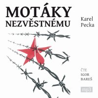 Motáky nezvěstnému (Pecka - Bareš Igor)