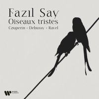 Say Fazil: Les Oiseaux Tristes