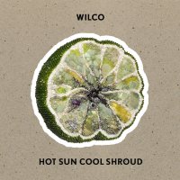 Wilco: Hot Sun Cool Shroud