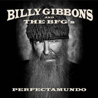 Gibbons Billy & The Bfg's: Perfectamundo