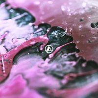 Linkin Park: From Zero (Limited Coloured Magenta Vinyl)