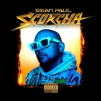 Paul Sean: Scorcha (Coloured Transparent Orange Vinyl)