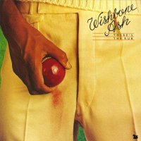 Wishbone Ash: There's The Rub