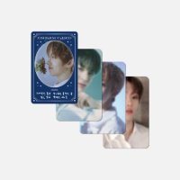 NCT Dream: Starry Daydream: Random Dream Card Pack