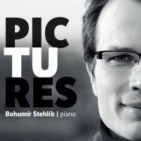 Stehlík Bohumír: Pictures