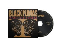 Black Pumas: Chronicles Of Diamonds