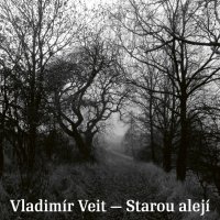 Veit Vladimír: Starou alejí