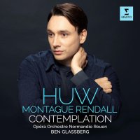 Rendall Huw Montague: Contemplation