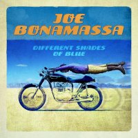 Bonamassa Joe: Different Shades Of Blue