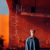 Martin Ivo: Puls - Vinyl (LP)