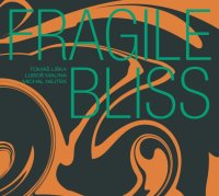 Tomáš Liška, Luboš Malina, Michal Nejtek: Fragile Bliss